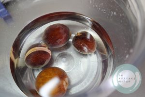 増えたアボカドの種